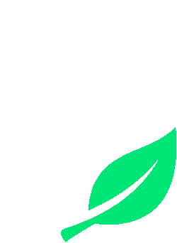 PandaBox