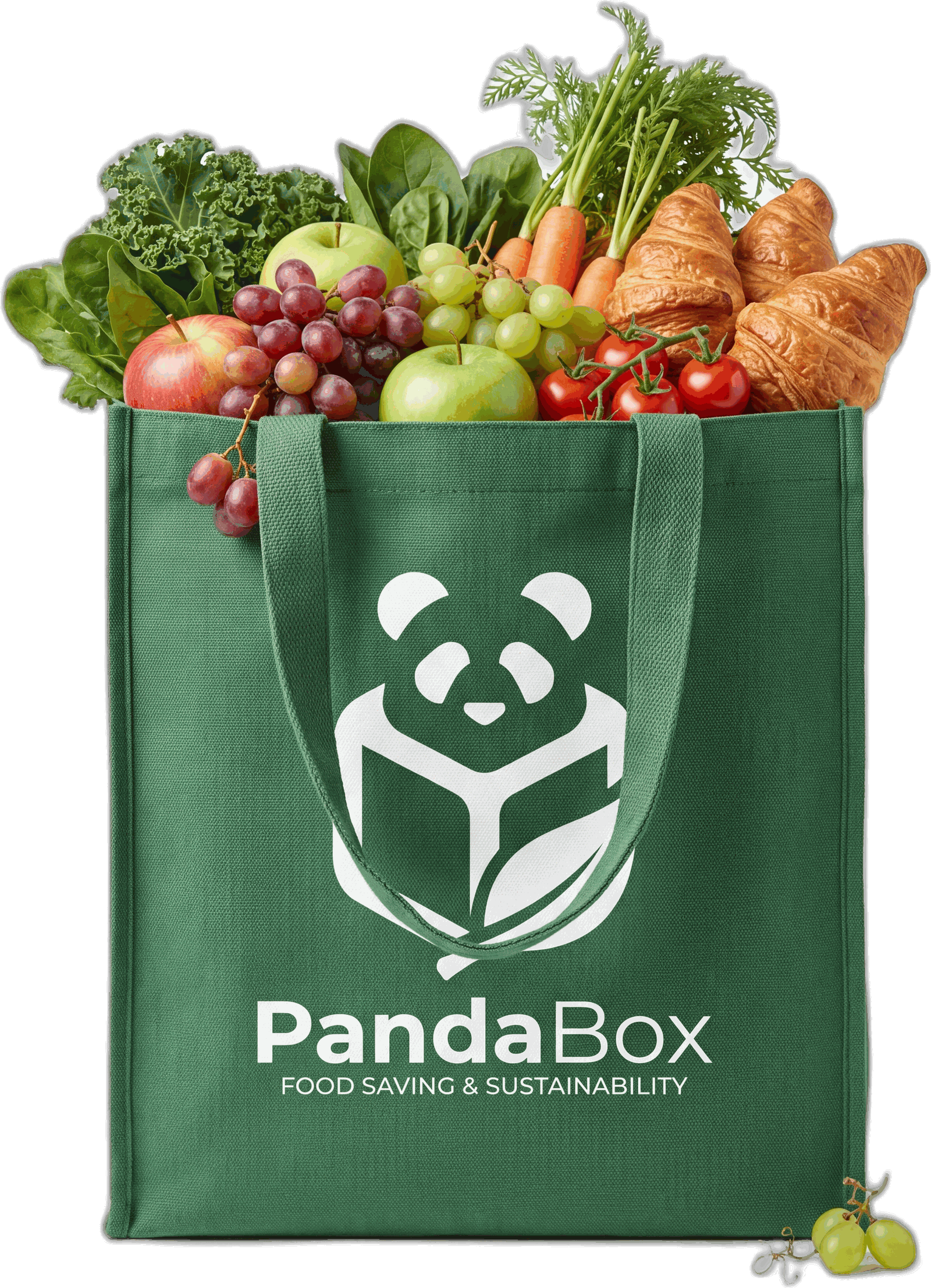 PandaBox Green Bag